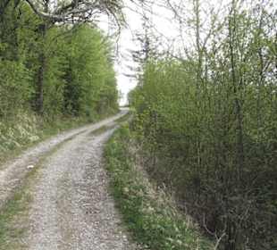 Wanderweg Firstwaldrunde