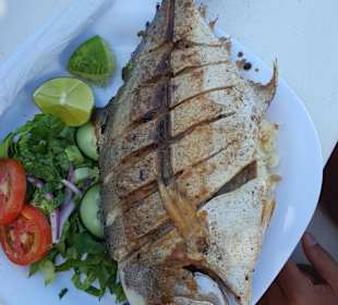 Santi Tour/Playa del Carmen - Holbox