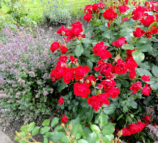 Rundgang durch den Schlossgarten Oldenburg