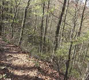 Wanderweg Hochgehkämpft