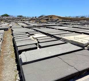 Rundgang über den Friedhof Beth Haim