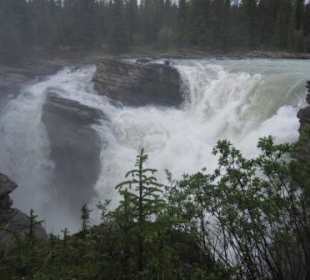 Wasserfälle des Athabasca
