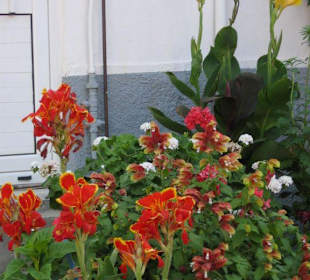 Blumenreiches Bergdörfchen