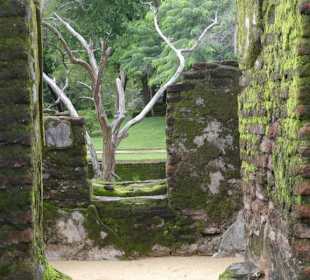 Reste der Tempelanlage