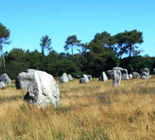Hinkelstein-Feld Carnac