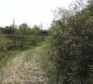 Ruine Maisenburg