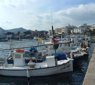 Hafen von Cala Ratjada