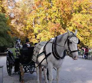 Rundfahrt mit der Kutsche