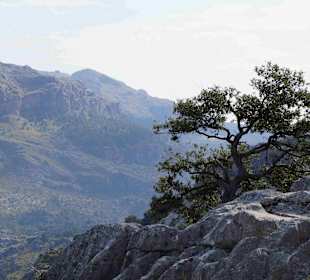 Serra de Tramuntana