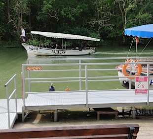 Jeep Safari Goldstrand