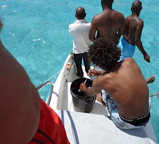 Frisch gefangener Fisch bei dem Katamaranausflug