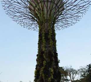Gardens by the Bay