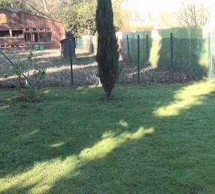 Botanischer Garten - Rombergpark