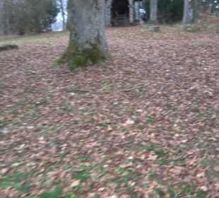 Stationenweg am Kreuzberg Bremelau