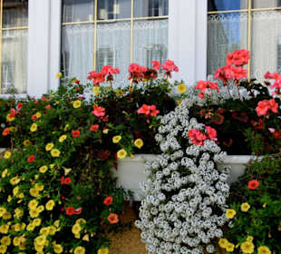 Blumenschmuck in der Altstadt von Wangen