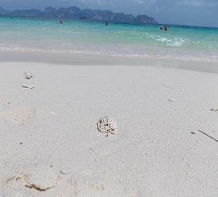 Koh Poda