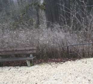 Wallfahrtskirche Maria Buch