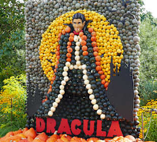 Dracula im Kürbisgewand