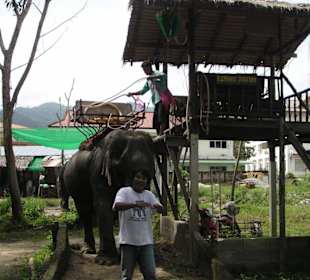 Elefanten Safari auf Phuket