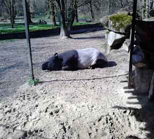 Tierpark Hellabrunn in München