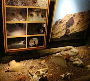 Fundstücke aus den Höhlen