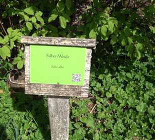 Arboretum
