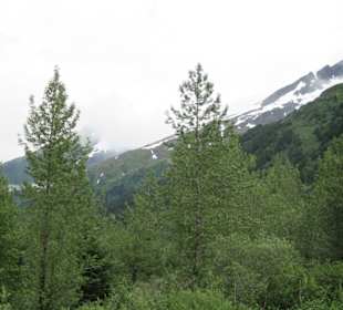 Erste Gletscher kommen in Sicht