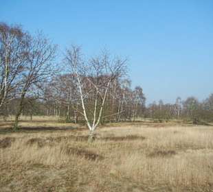Wunderschöne Boberger Niederung