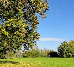 Herbstspaziergang durch die Fuldaaue