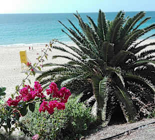 Weg nach Morro Jable