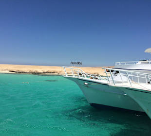 Paradise - wycieczka