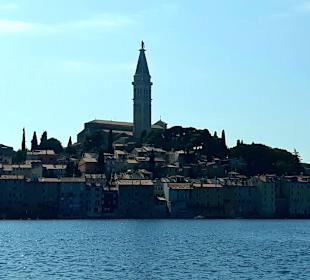 Bootstour Vrsar-Rovinj-Lim Fjord