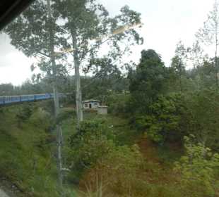 Bahnfahrt Hochland