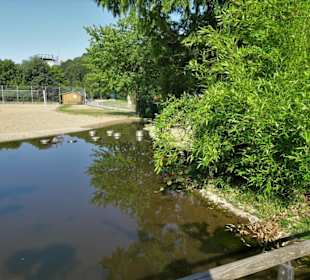 Impressionen aus dem Landesgartenschau-Park