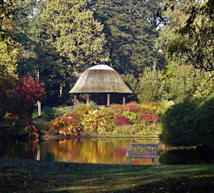 Herbstspaziergang durch den Schlosspark Lütetsburg
