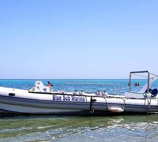Www.bluesubmarine.de
