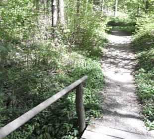 Wanderweg Hochgehwachsen