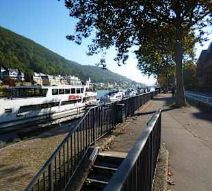 Das Schiff "Alt Heidelberg"
