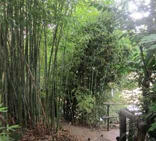 Botanischer Garten Bergamo