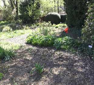 Rosengarten Zweibrücken