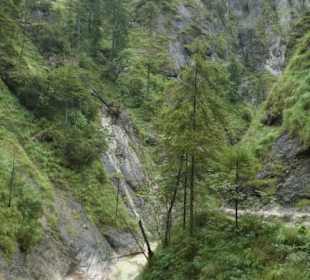 Beeindruckende Wanderung durch die Almbachklamm
