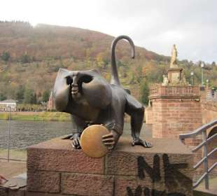 Altstadt Heidelberg alte Brücke