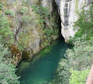 Blick auf den Quelltopf