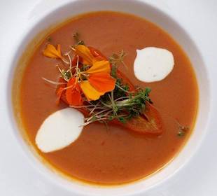 Mehr als nur eine Suppe