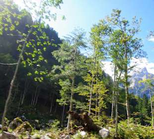 Viele Bäume weg 2019 gute Einblick