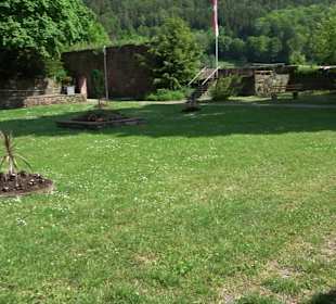 Schlossruine Wildberg