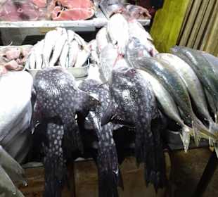 Hochland von Sri Lanka