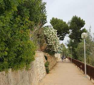 Stadtrundgang Sa Pobla