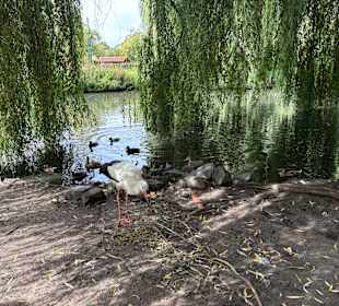 Irrland Bauernhof-Erlebnisoase
