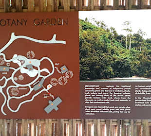 Botanischer Garten